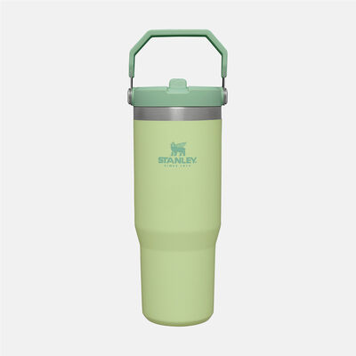 THE ICEFLOW FLIP STRAW TUMBLER | 0.89 L כוס עם קשית